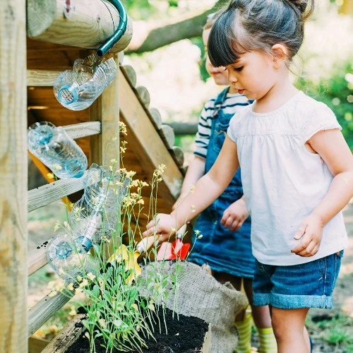Plum Discovery Woodland Treehouse - Image 2