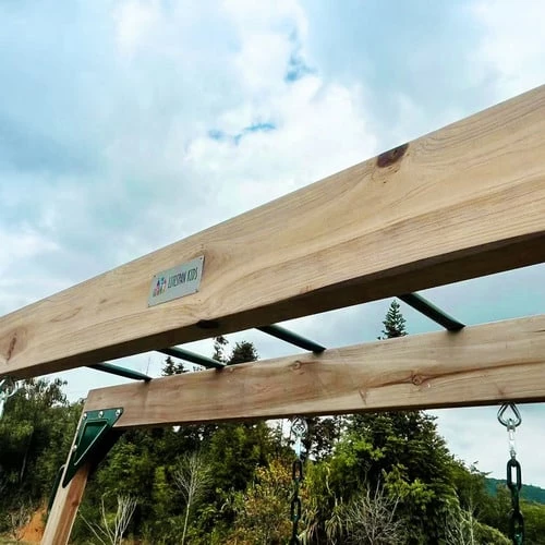 Lifespan Kids Daintree 2 In 1 Monkey Bars And Swing Set - Image 8